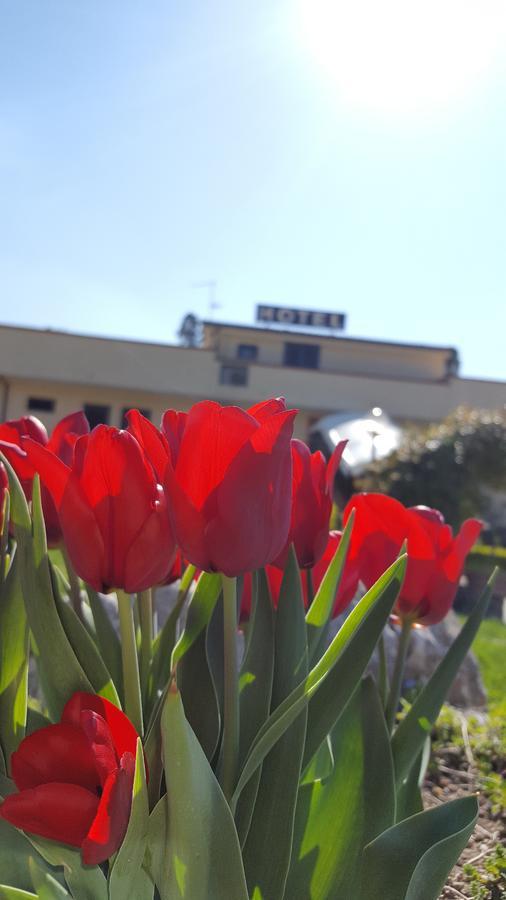 Hotel Vittoria 베네벤토 외부 사진